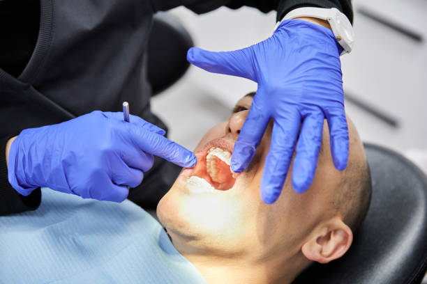 Best Pediatric Emergency Dentist in Thonotosassa, FL